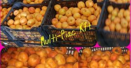 Kajszibarack, ipari Kínálunk a legmagasabb minőségű ipari kajszibarackot és