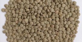 *** Зеленая продовольственная чечевица *** Параметры качества: Чистота -