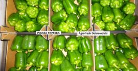 I will sell green peppers, class I, I invite