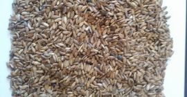 Umiditate nu mai mare de 6% Puritate nu mai