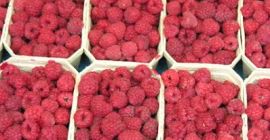 We invite you to buy raspberries directly from the