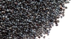 Offro in vendita il papavero blu ceco, I. e