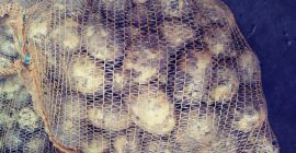 Voi vinde cartofi de soiuri Arielle și Riviera.