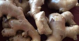 1) Variety : Fresh Ginger 2) Place of origin: