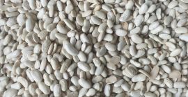 Я продаю отборные бобы, белые бобы, цена 4,5 лея