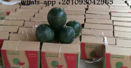 (ALshams company for general import & export ) Offering