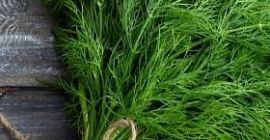 I will sell dill