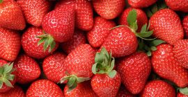 Здравейте. Мога да предложа различни сортове висококачествени ягоди. 500