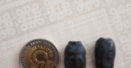 Ciao. Venderò frutta raccolta a mano della bacca della