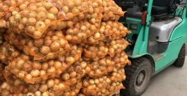 Продаем молодой лук - импорт из Узбекистана. Калибр 5+.