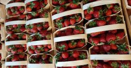 Ягодов десертен сорт Grandarosa Arosa Roksana. Каня ви да