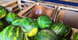 Ще продавам дини от Гърция. Сорт Селин и Флорини.