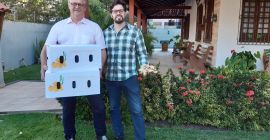 Olbrzymie imbirowe biggi jak rękawica baseballowa, zapakowane 13,6 kg