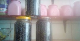 Ich werde frisch gepflückte Beeren verkaufen