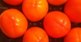 Spanish producer sells persimmons in Poland, Ukraine, Russia, the