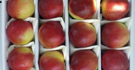 еколошки производ без ГМО