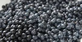 Voi vinde fructe de padure, negociabile cu mai multe.