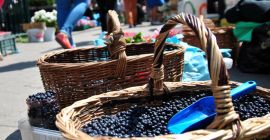 Voi vinde afine culese manual, PLN 19 la kg