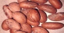 i am a seller of Bitter Kola Here are