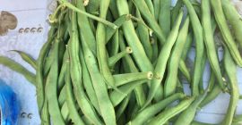 En-brutto Bohnen zu verkaufen. Mobil: +40734031759