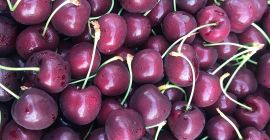 Griechische Kirschen, Kordia. Frische Lieferung. Kaliber 26+ und 28+