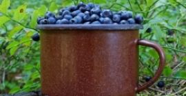 Voi vinde afine, cantități mari. Preț pe litru 18