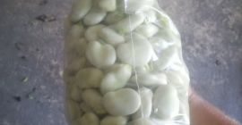 I will sell fresh beans for more information on