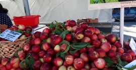 Приватни произвођач који продаје дивну нектарину, јединствену арому (као