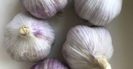 Я продаю чеснок ЭКО.