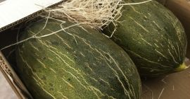 Здравейте! Предлагам на едро плодове и зеленчуци от Испания!