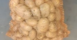 I will sell Lord and Denar potatoes. Copies to