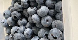 Vând afine cultivate in zona Arges ( România). Avem