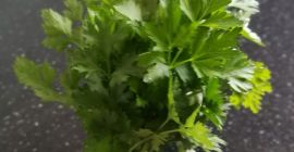 Продајем гомилу першуна за гомилу 1 ПЛН