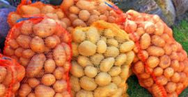 Hello, I am selling potatoes, nice, thick goods, for