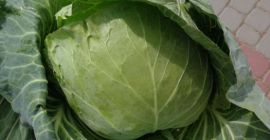 Cabbage - Freshly cut to order Price PLN 1