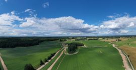 Im Jahr 2020 bieten wir folgende Sorten an (Arrow,