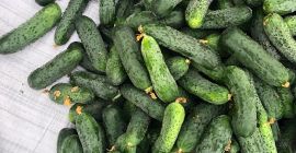 Продам свежие, некалиброванные огурцы 8-15 из Белоруссии. ТР количества.