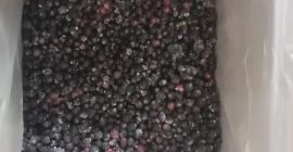 Продајем црну рибизлу из Белорусије, смрзнуту, механички очишћену. Тел.