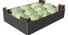 ми смо компанија која дистрибуира воће и поврће у