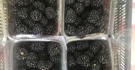 Стены культуры