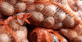 Продам молодые растения ирга, винета, калибр 4+.