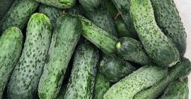 Продам свежемолотые огурцы, 8-15 см, некалиброванные. из Белоруссии. Бесплатная