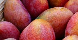 mango (tutti i tipi disponibili per l&#39;esportazione), per ulteriori