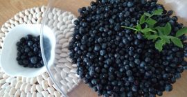 Продаћу 5 литара ручно убраних шумских бобица. Камионет у