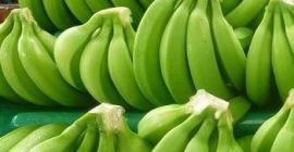 Product Type: Fresh green cavendish banana Original place: Cameroon,