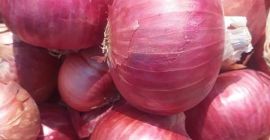 Wir verkaufen die folgenden landwirtschaftlichen Produkte: Sonnenblumenöl, Cashewnüsse, Mandeln,