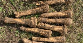 Цена по договаряне. Предлагат се продукти от първи до