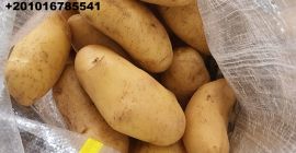 Компанија Алсхамс за општи увоз и извоз #фресх_потатоес са