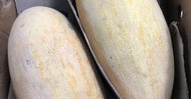 Hello, I have for sale Melon Tarpeda country of