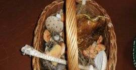 I will sell mushrooms boletes Boletes Chanterelles Kites Riga